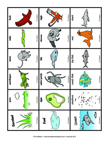 Food Chain Cards, Lesson Plans - The Mailbox
