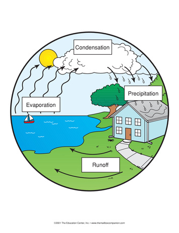 Water Cycle - 5th Grade Science Diagram | Quizlet